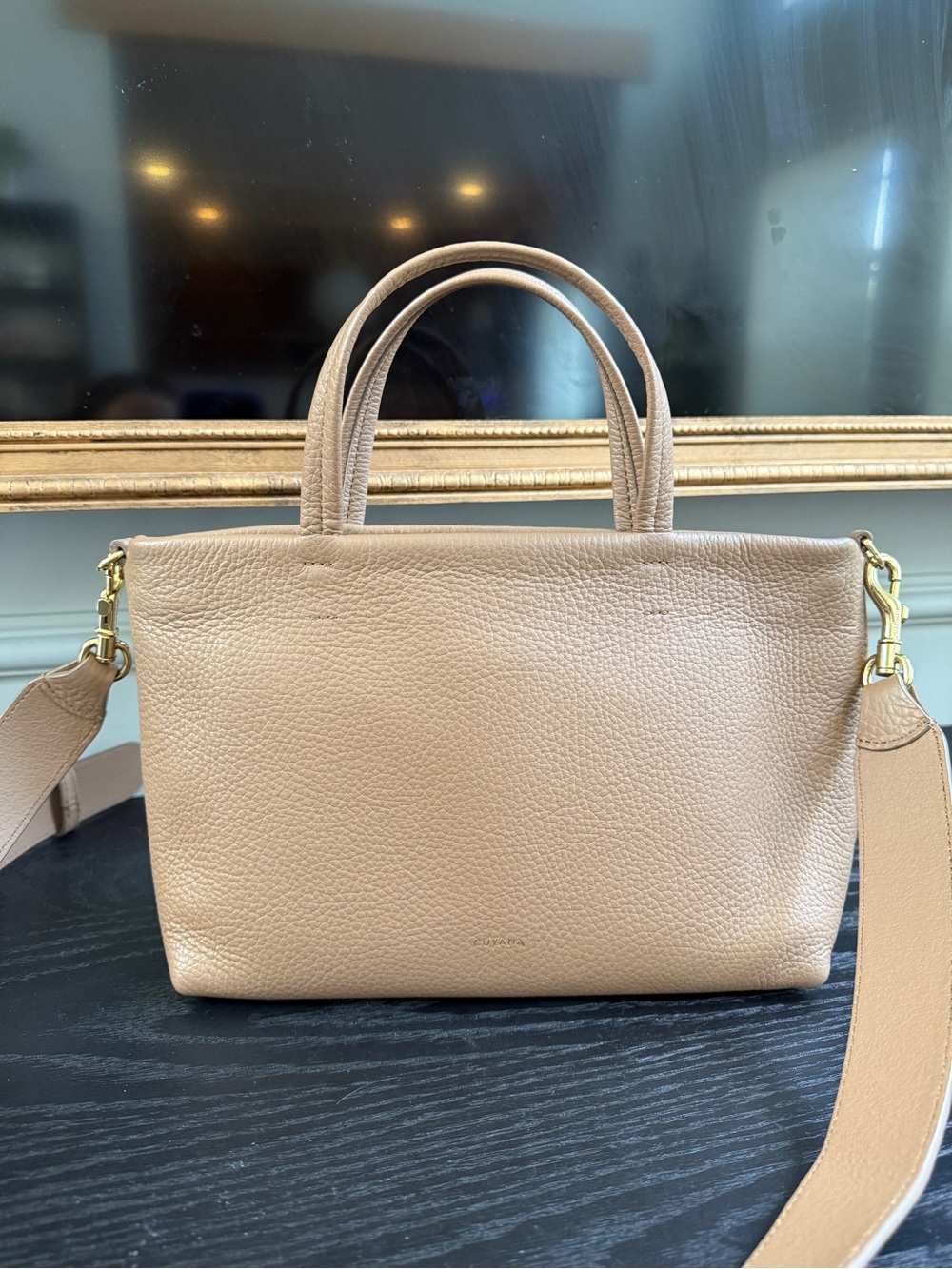 Cuyana Cappucino Mini Easy Zipper Tote